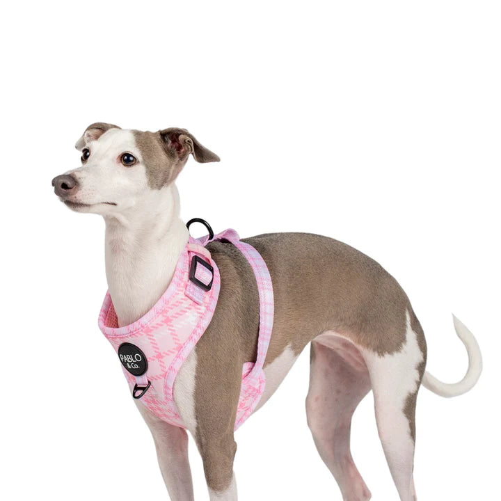 Pink Houndstooth: Adjustable Harness- L