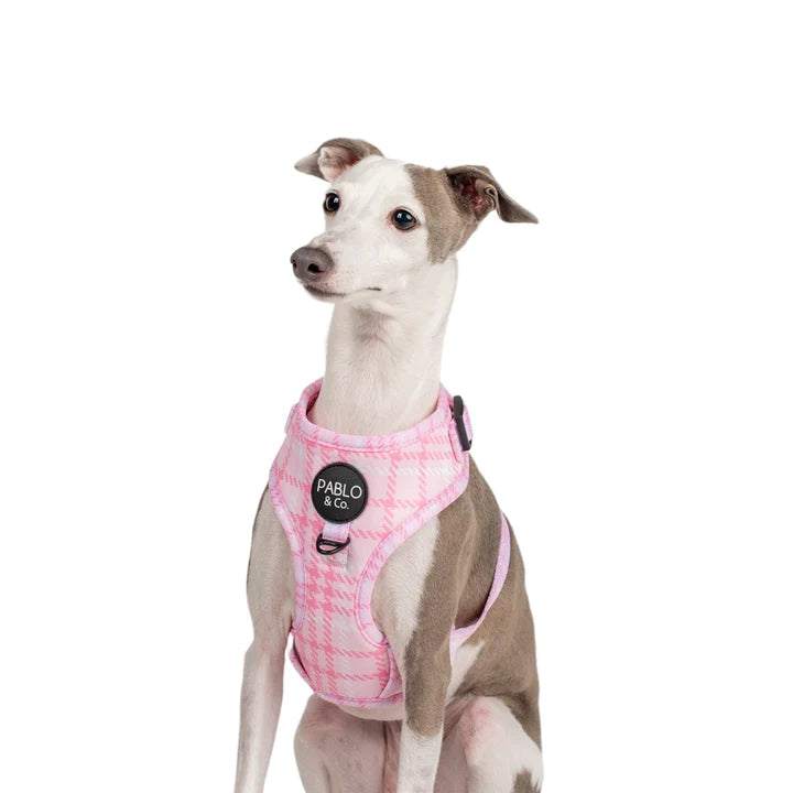 Pink Houndstooth: Adjustable Harness- L