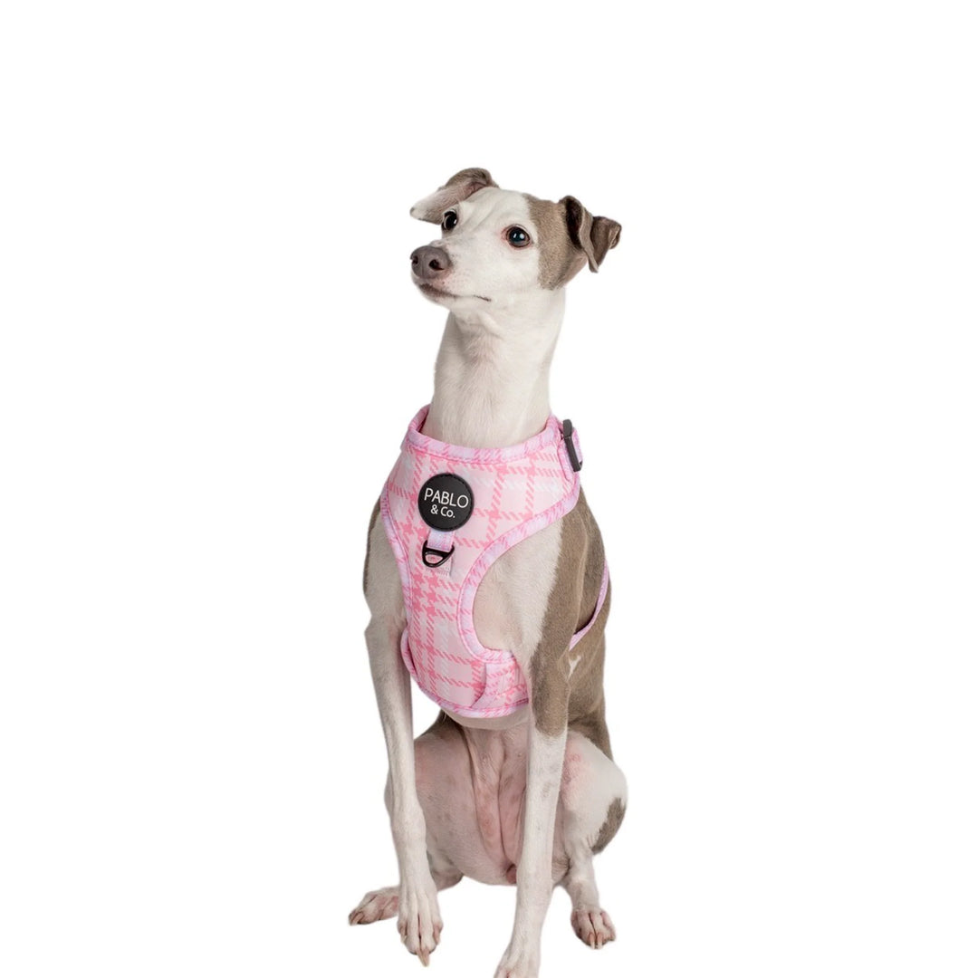 Pink Houndstooth: Adjustable Harness- L