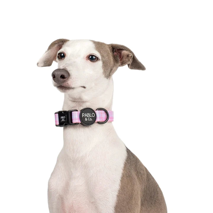 Pink Houndstooth: Dog Collar- M