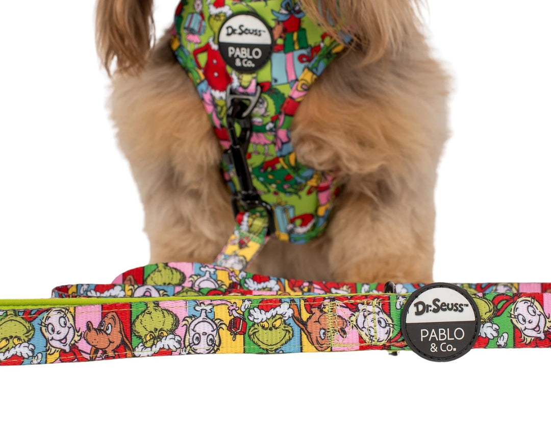 Dr Seuss' Who-Ville: Dog Leash- 2.5cm