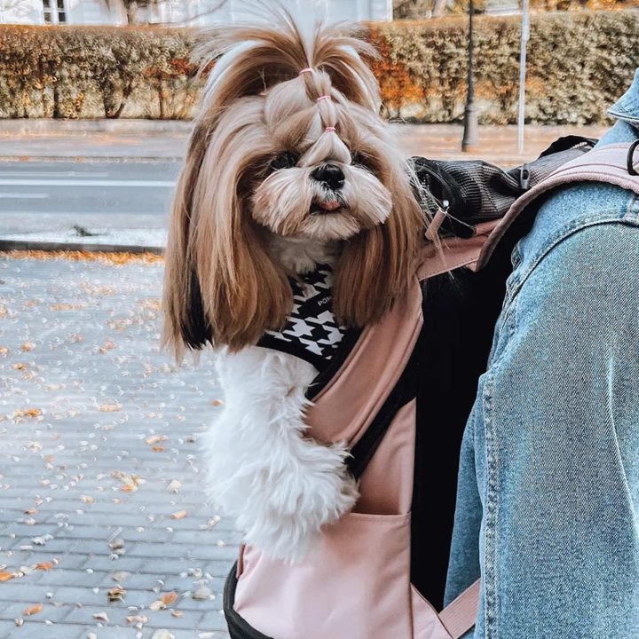 Ibiyaya Ultralight Backpack Pet Carrier - Coral Pink