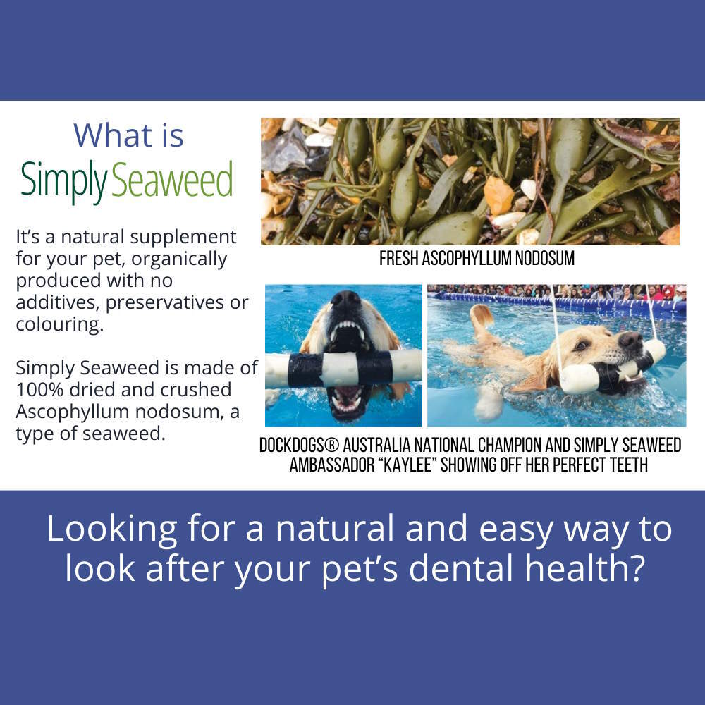 Simply Seaweed Natural Dental Health Care for Cats & Dogs - 40g