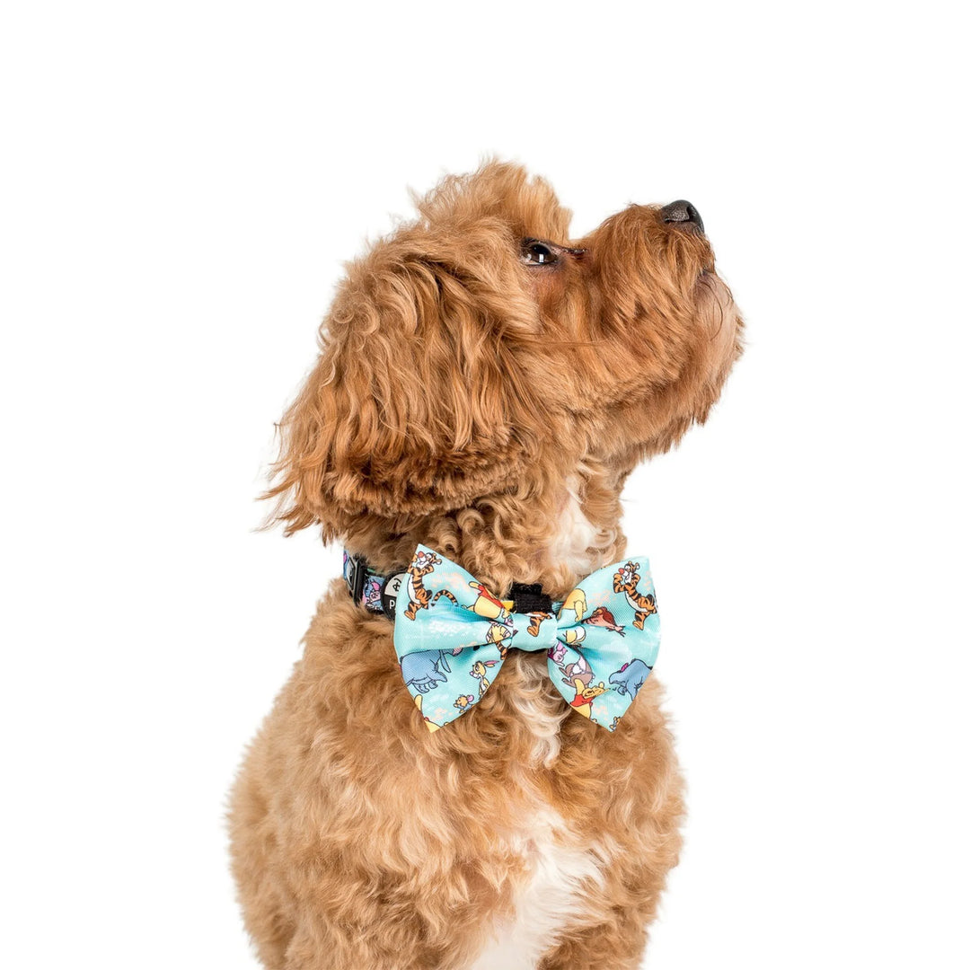 Winnie the Pooh & Forest Friends: Bow Tie- MEDIUM