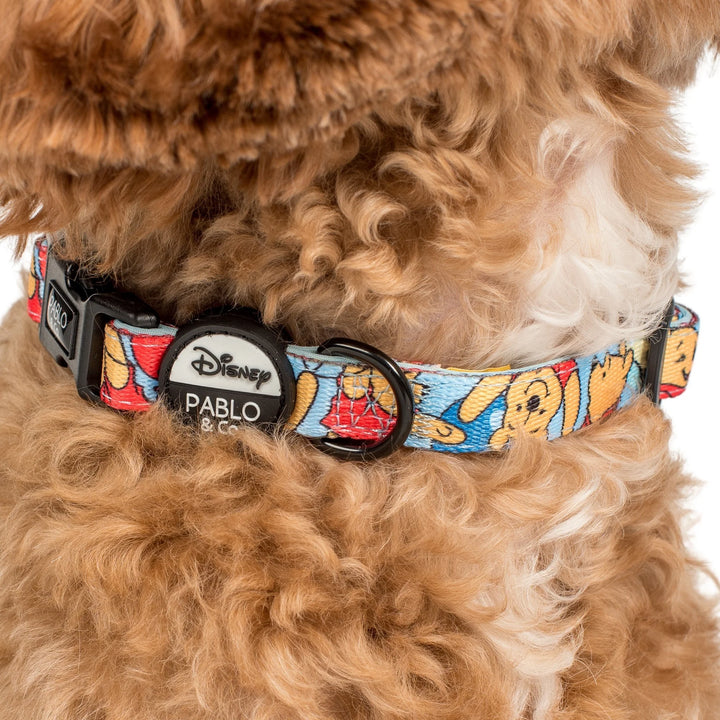 Pooh's Balloons: Dog Collar- L