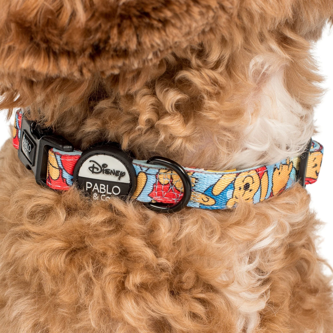 Pooh's Balloons: Dog Collar- S