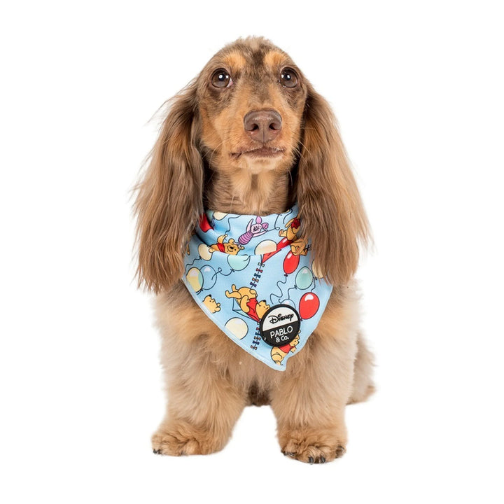 Pooh's Balloons: Dog Bandana- SMALL