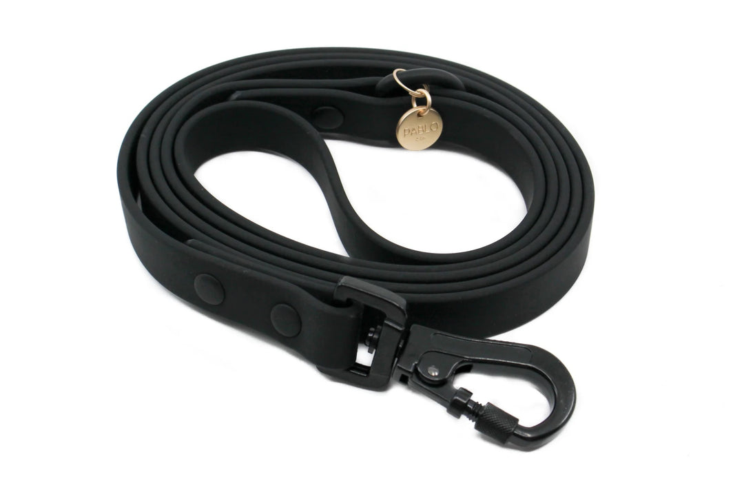 Black: Waterproof Leash- SMALL