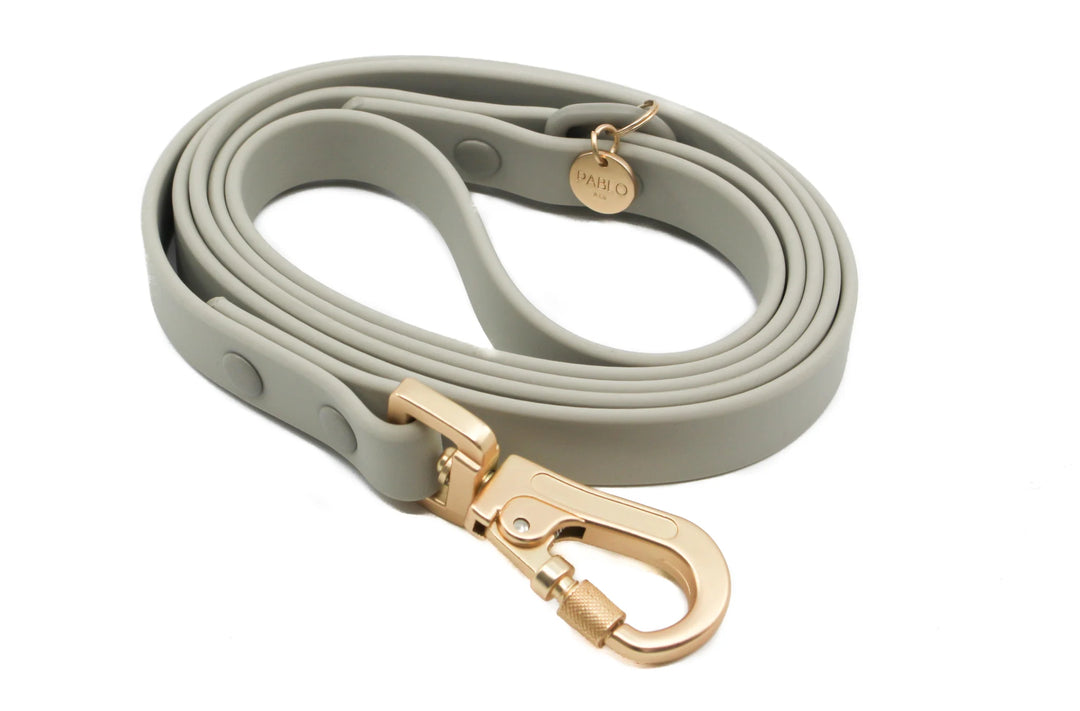 Crayon: Waterproof Leash- LARGE