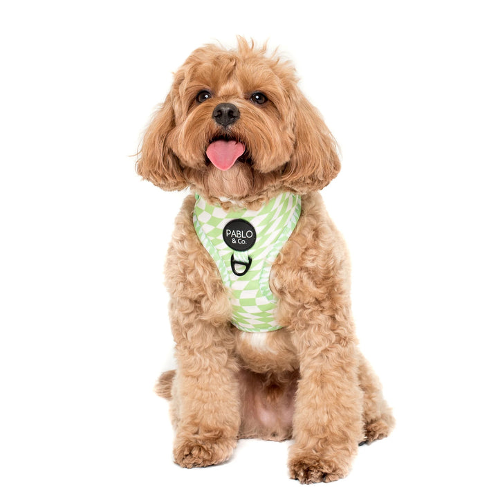 Lime Check Check - Adjustable Harness - LARGE