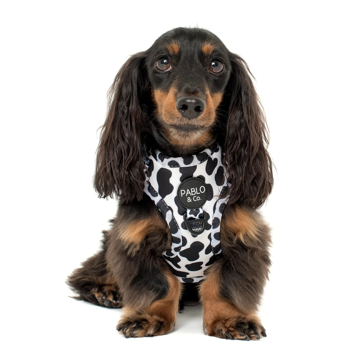 Moo Moo Adjustable Harness - LARGE