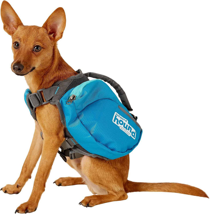 Outward Hound Daypak Blue Small