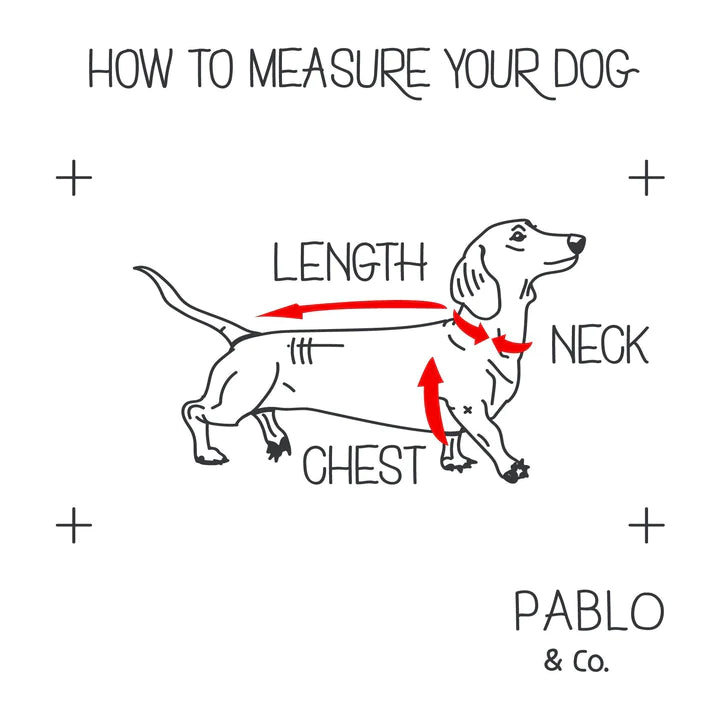 Wavy - Adjustable Harness - XL