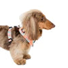 Wavy - Adjustable Harness - XS