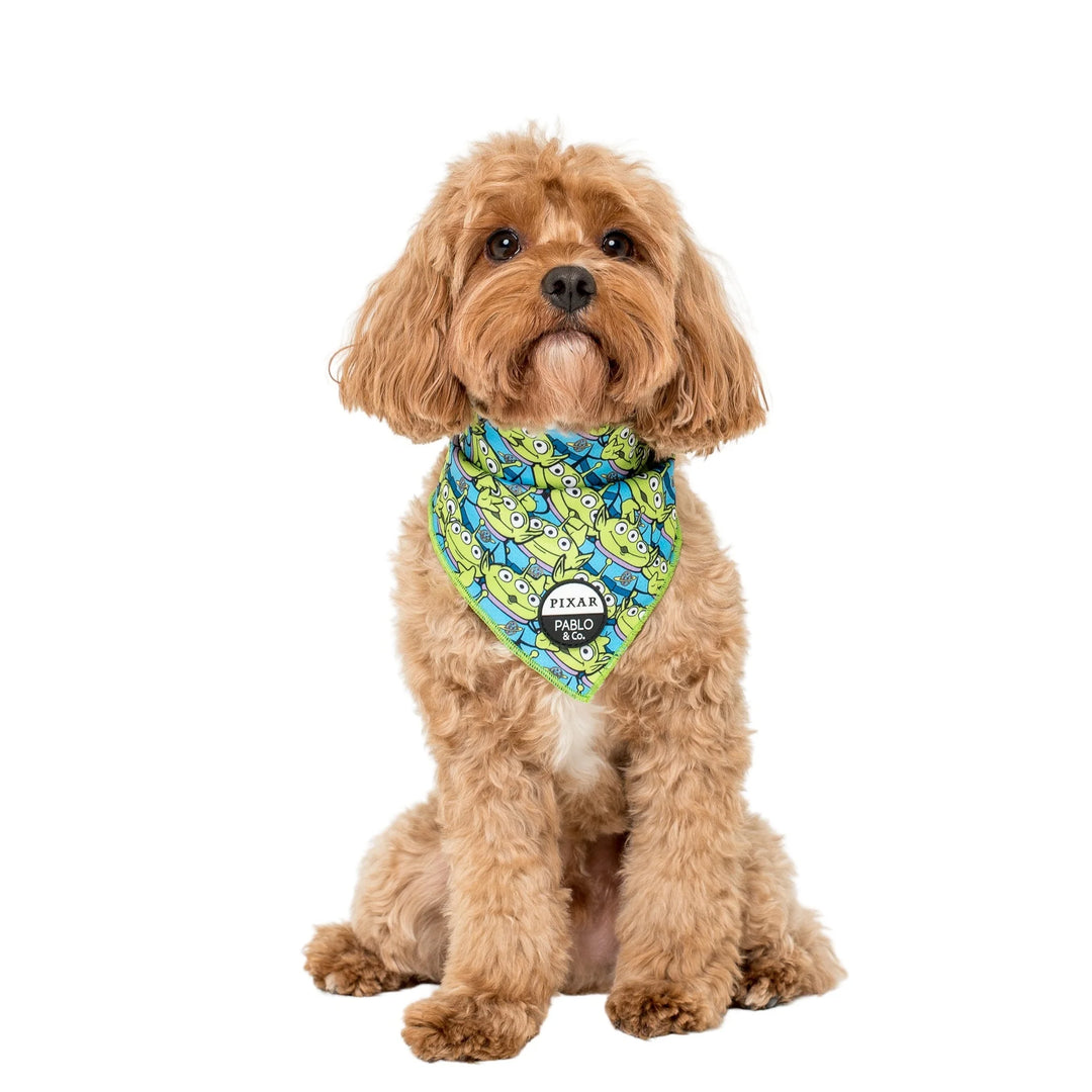 Toy story outlet dog bandana