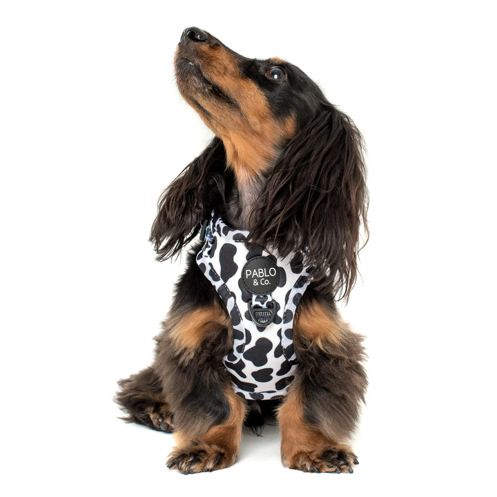 Moo Moo Adjustable Harness - LARGE