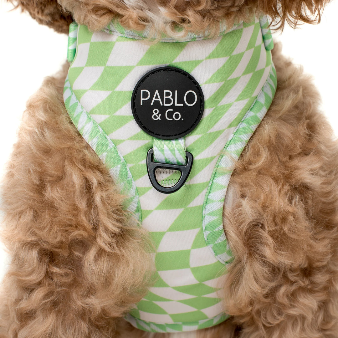 Lime Check Check - Adjustable Harness - LARGE