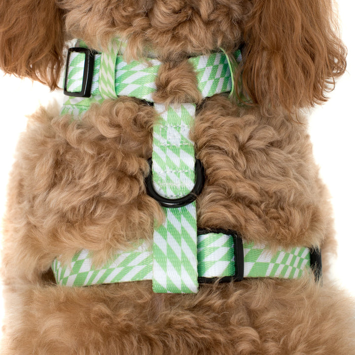 Lime Check Check - Adjustable Harness - LARGE