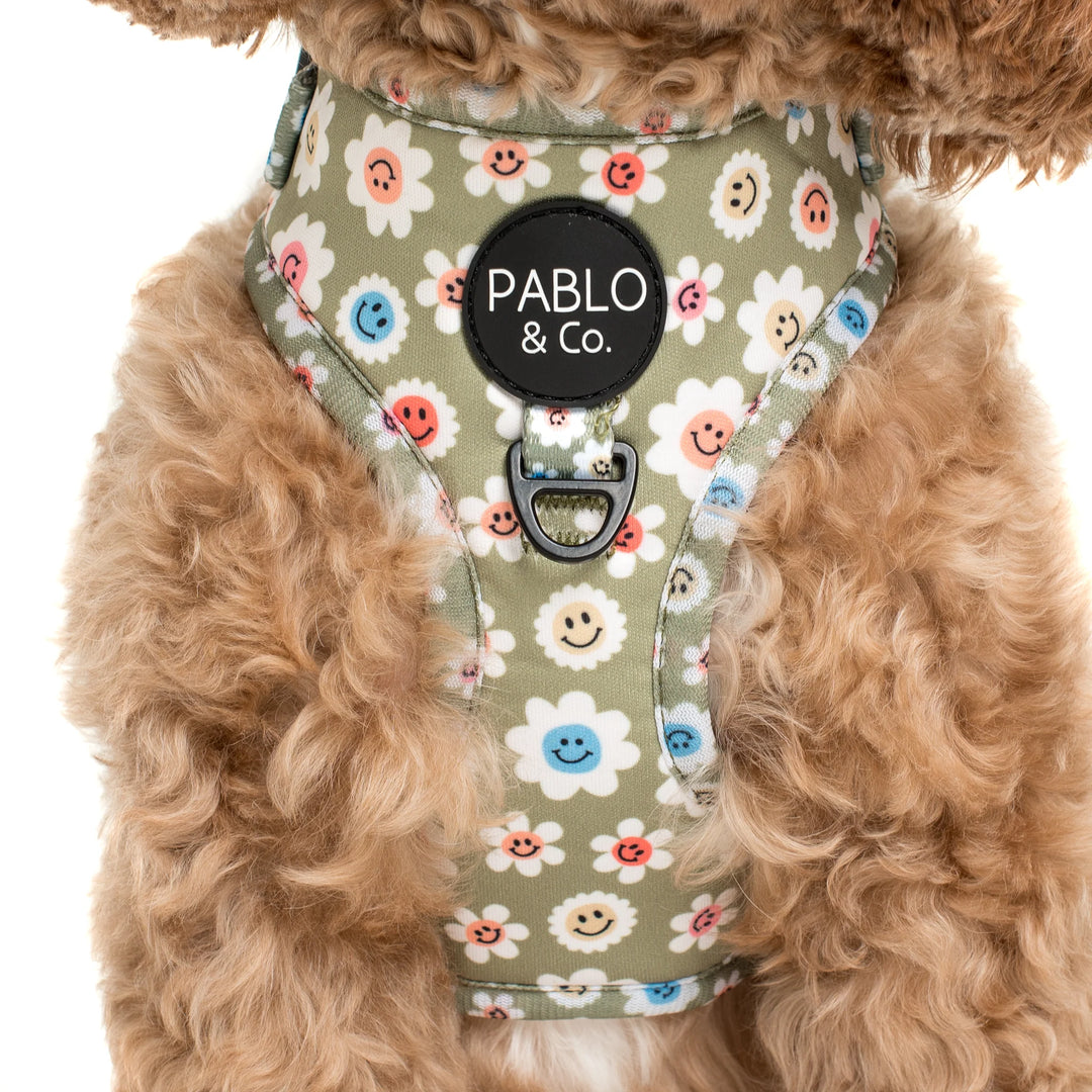 Smiley Flowers - Adjustable Harness - XL