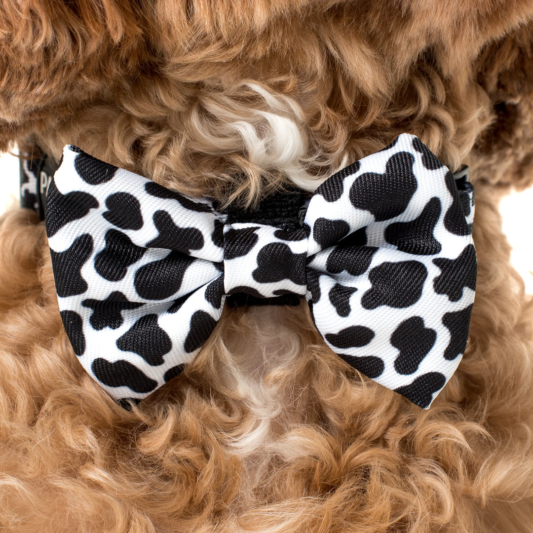 Moo Moo - Bowtie - LARGE