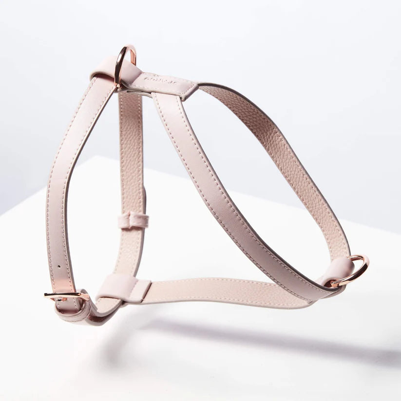 St Argo Harness- Pale Pink: XS