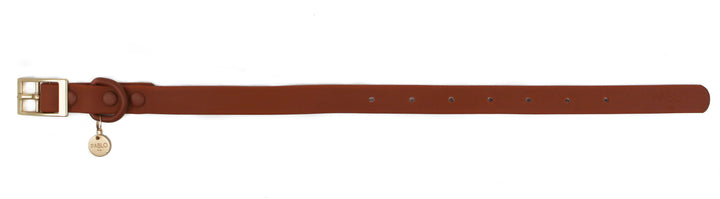 Terracotta: Waterproof Collar- S