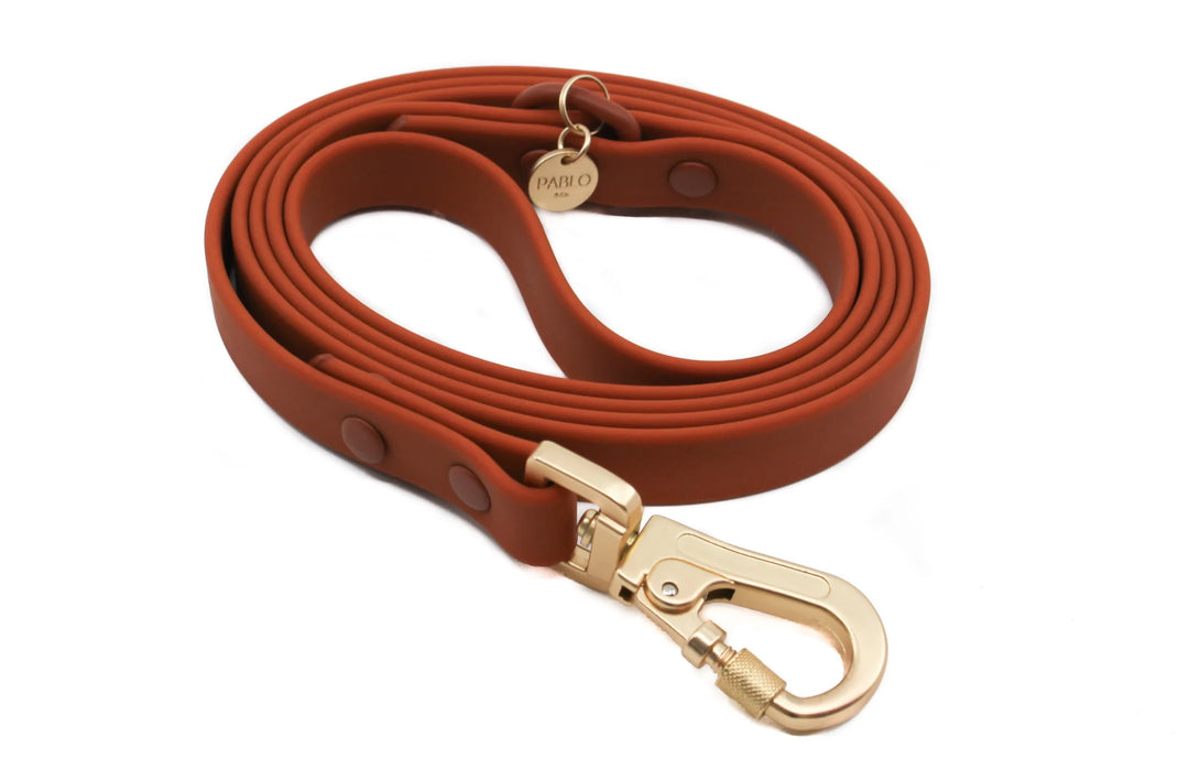 Terracotta: Waterproof Leash- LARGE