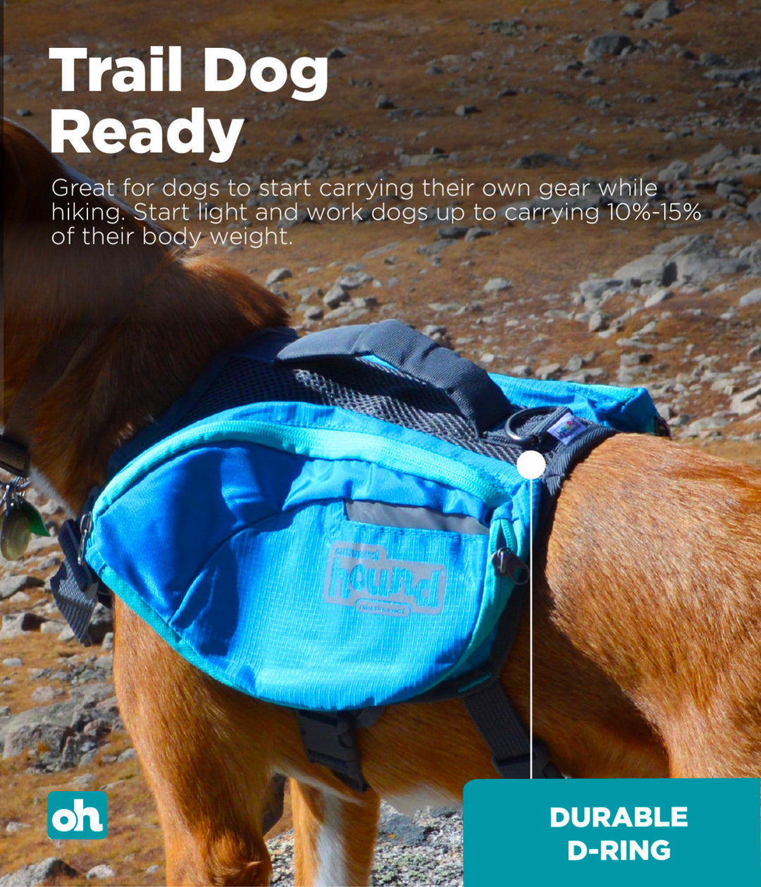 Outward Hound Daypak Blue Small