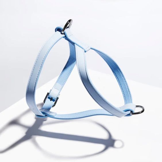 St Argo Harness- Soft Blue: MED