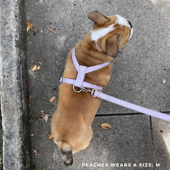 St Argo Harness- Lilac: SML