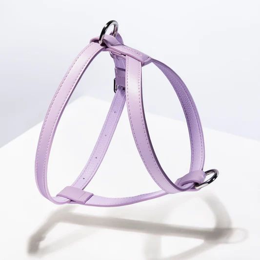 St Argo Harness- Lilac: SML