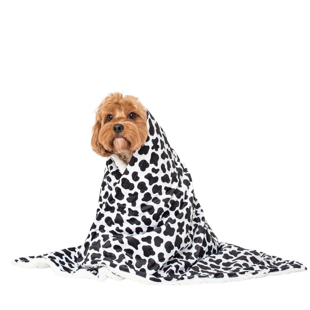 Moo Moo: Dog Blanket