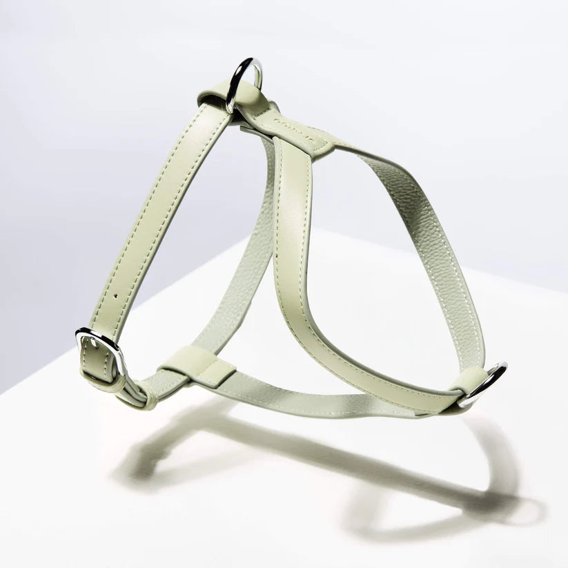 St Argo Harness- Sage: XS