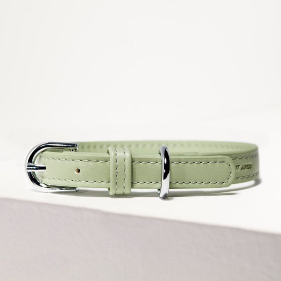 St Argo Collar- Sage: SML