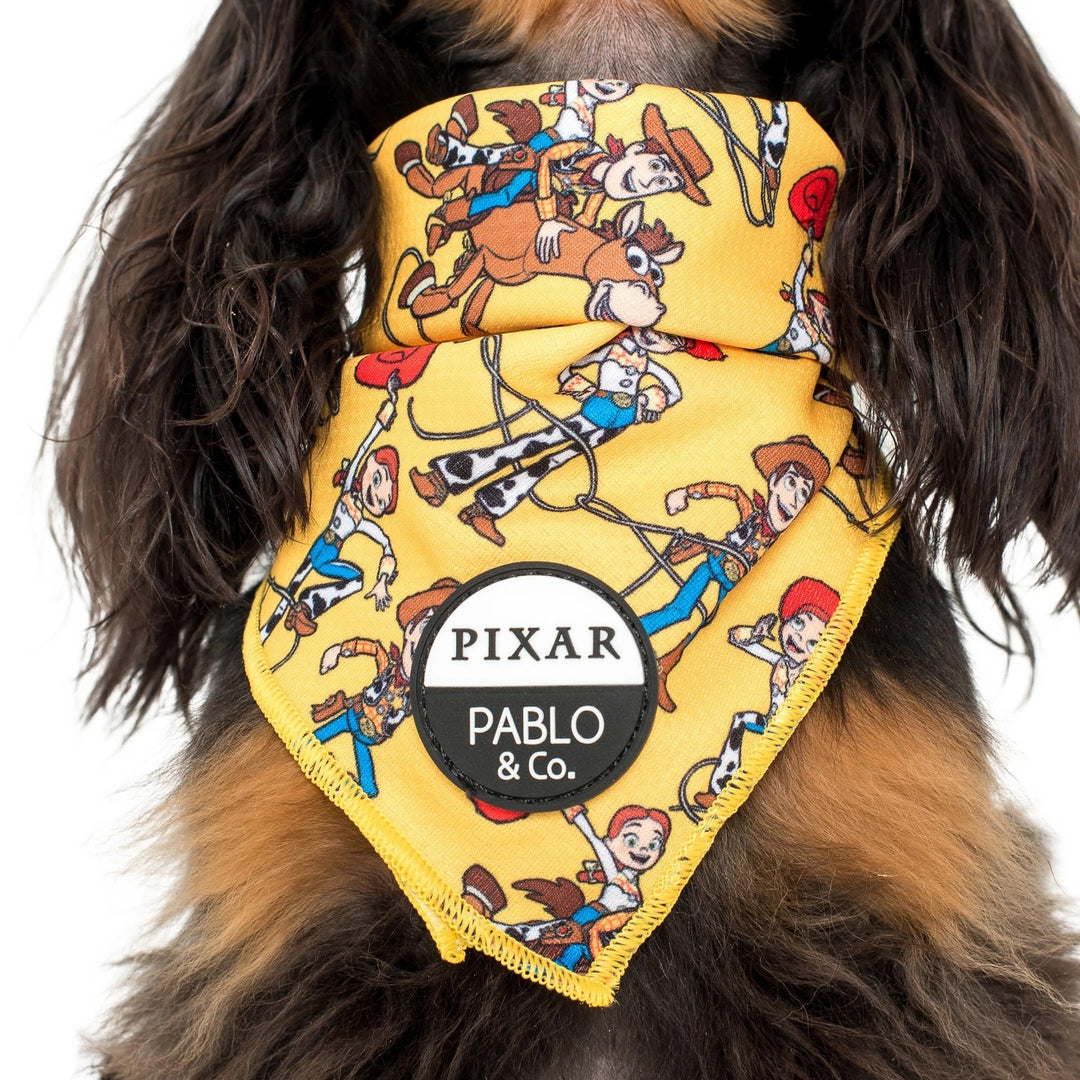 Toy Story - Woody's Roundup: Dog Bandana- LARGE