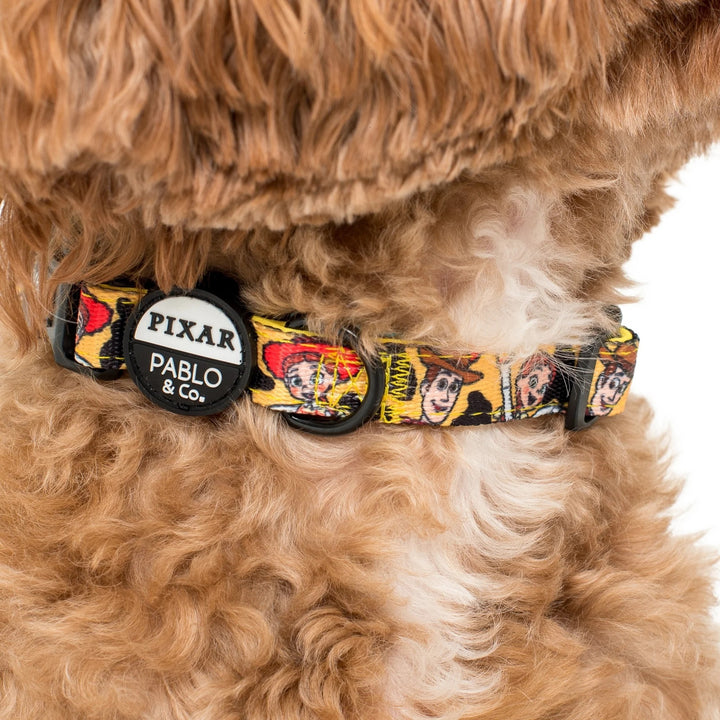 Toy Story - Woody's Roundup: Dog Collar- M